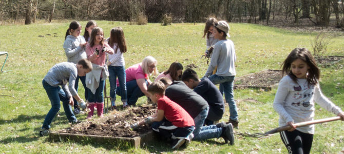 Frühlingserwachen im Bildungshausgarten