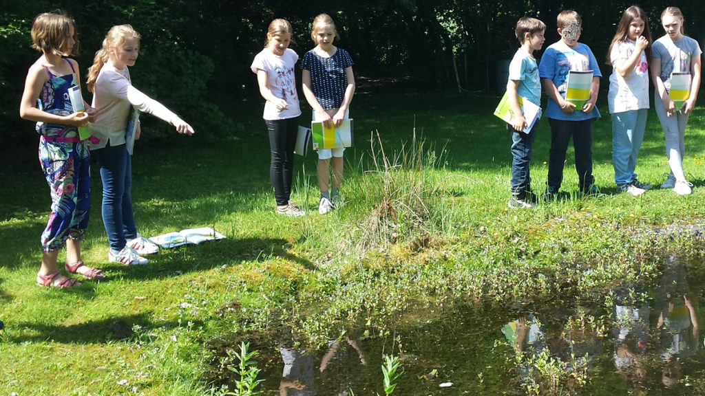 Im grünen Klassenzimmer das Leben am Teich erkundet Grundschule