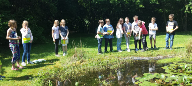 Im grünen Klassenzimmer das Leben am Teich erkundet