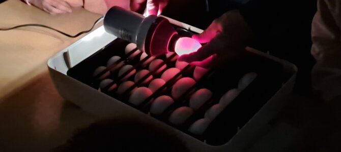 Osterzeit in der GS Weidhausen